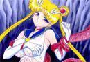 Sailor moon (14)