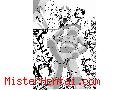 Manga hentai