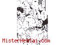Manga hentai