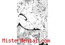 Manga hentai