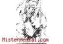 Manga hentai