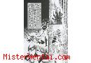 Manga hentai