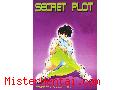 Manga hentai Secret Plot 3