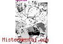 Manga hentai
