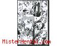 Manga hentai