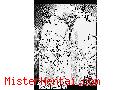 Manga hentai