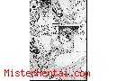 Manga hentai