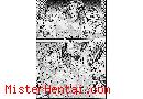Manga hentai