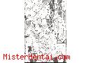 Manga hentai