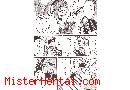 Manga hentai