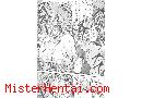 Manga hentai
