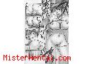 Manga hentai