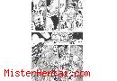 Manga hentai
