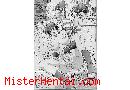 Manga hentai